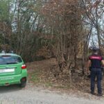 Incendio lungo il Ticino, i Carabinieri individuano i responsabili AIUTO
