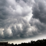 Milano, allerta meteo: chiusi i parchi cittadini IMG_7132