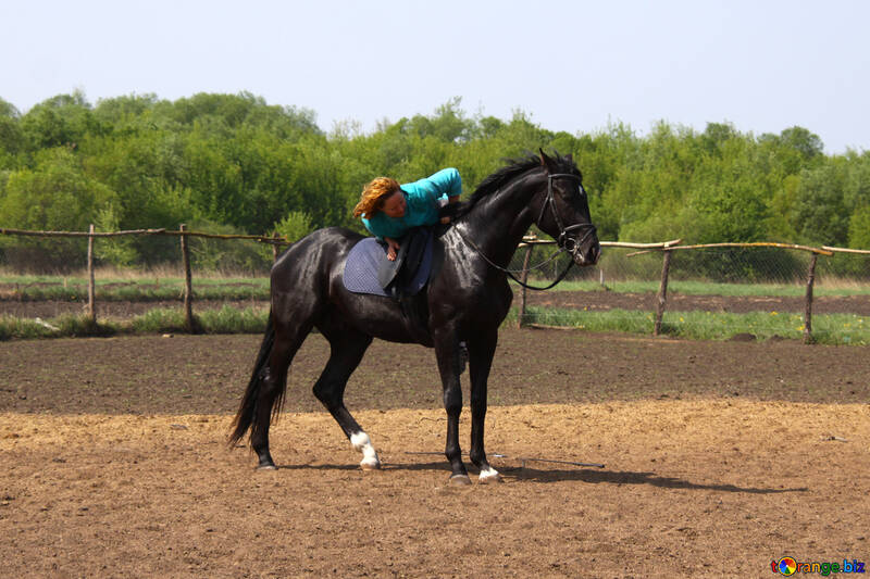 rodeo