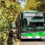 Aperta la prima tratta della corsia preferenziale tra piazza Stuparich e piazza Zavattari filobus filovia 91