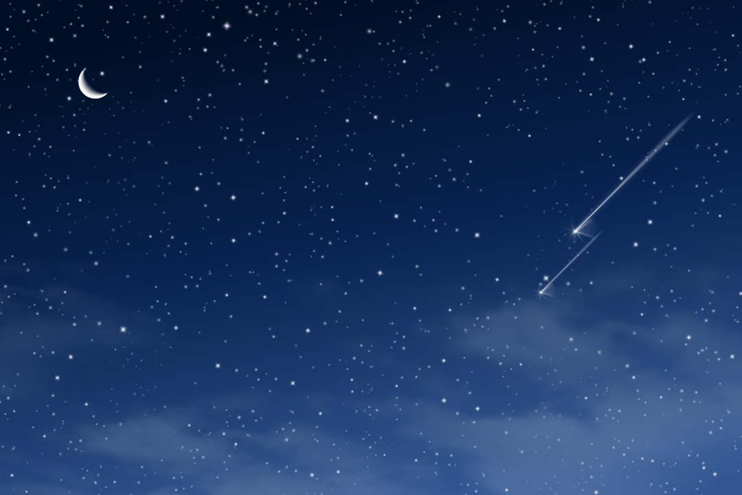 STELLE