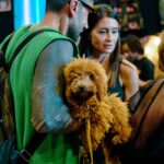 Nuovo appuntamento con East Market, l’evento vintage milanese dedicato a privati e professionisti, dove tutti possono comprare e vendere. Domenica 18 ottobre, oltre a centinaia di espositori selezionati provenienti da tutta Italia, debutterà per la prima volta Pet Market, il nuovo spazio interamente dedicato al mondo degli animali domestici.