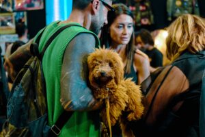 Nuovo appuntamento con East Market, l’evento vintage milanese dedicato a privati e professionisti, dove tutti possono comprare e vendere. Domenica 18 ottobre, oltre a centinaia di espositori selezionati provenienti da tutta Italia, debutterà per la prima volta Pet Market, il nuovo spazio interamente dedicato al mondo degli animali domestici.